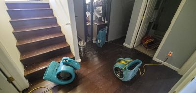 Parquet Floor Replacement